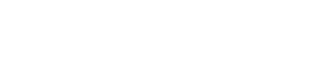 białe podstawowe logo NOK